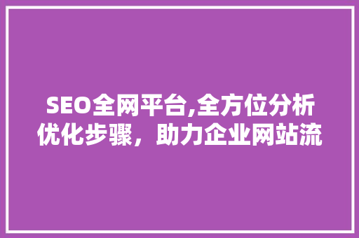 SEO全网平台,全方位分析优化步骤，助力企业网站流量提升 SQL