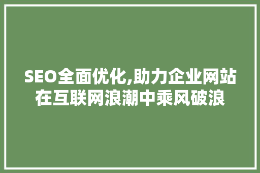 SEO全面优化,助力企业网站在互联网浪潮中乘风破浪