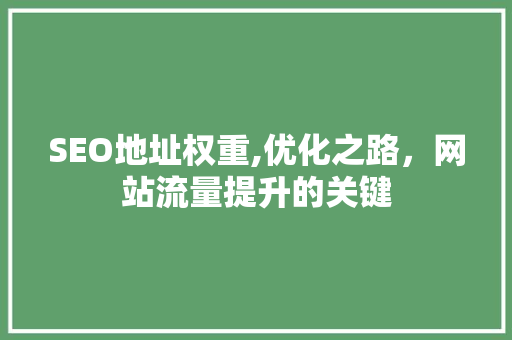 SEO地址权重,优化之路，网站流量提升的关键 HTML