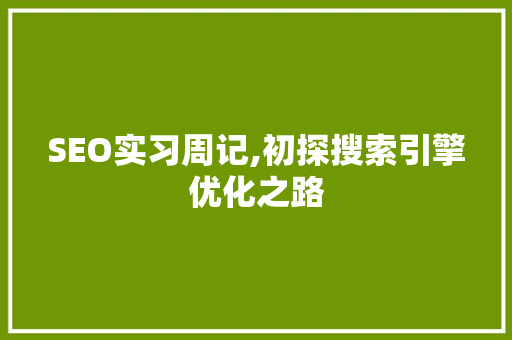 SEO实习周记,初探搜索引擎优化之路 HTML