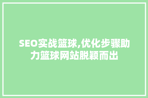 SEO实战篮球,优化步骤助力篮球网站脱颖而出