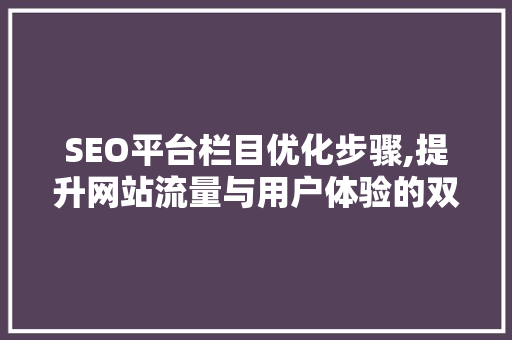 SEO平台栏目优化步骤,提升网站流量与用户体验的双重攻略 jQuery