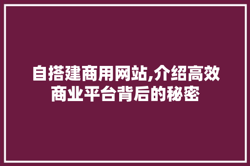 自搭建商用网站,介绍高效商业平台背后的秘密 Angular