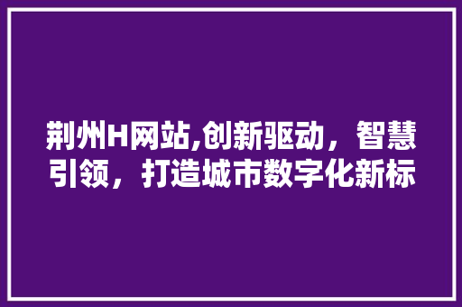 荆州H网站,创新驱动，智慧引领，打造城市数字化新标杆