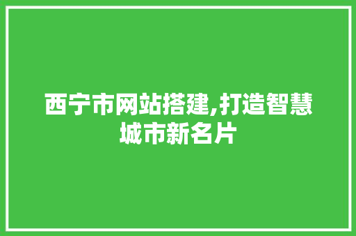 西宁市网站搭建,打造智慧城市新名片