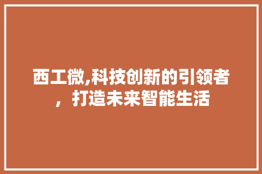 西工微,科技创新的引领者，打造未来智能生活 Webpack