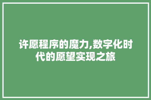 许愿程序的魔力,数字化时代的愿望实现之旅