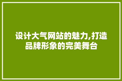 设计大气网站的魅力,打造品牌形象的完美舞台 Webpack