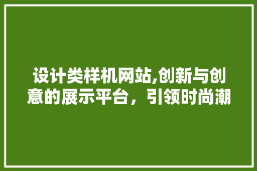 设计类样机网站,创新与创意的展示平台，引领时尚潮流新风向 CSS