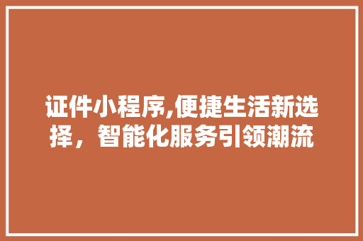 证件小程序,便捷生活新选择，智能化服务引领潮流