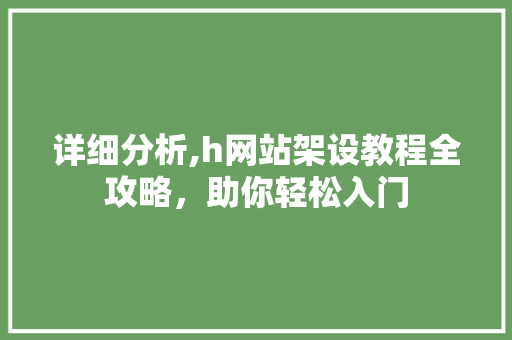 详细分析,h网站架设教程全攻略，助你轻松入门