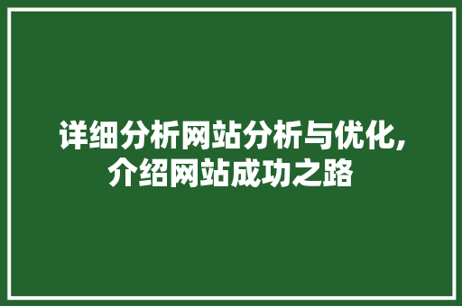 详细分析网站分析与优化,介绍网站成功之路 React