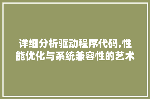 详细分析驱动程序代码,性能优化与系统兼容性的艺术