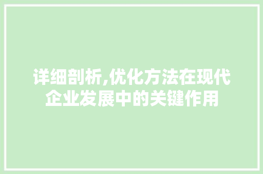 详细剖析,优化方法在现代企业发展中的关键作用 React