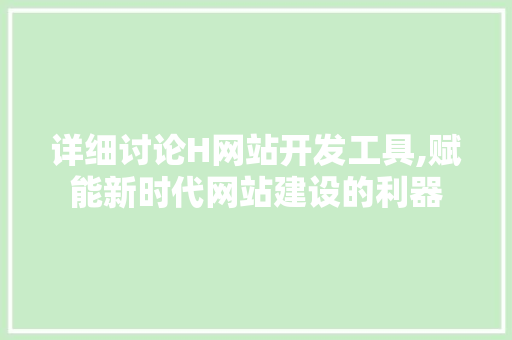 详细讨论H网站开发工具,赋能新时代网站建设的利器 JavaScript