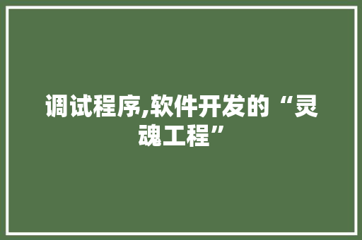 调试程序,软件开发的“灵魂工程”