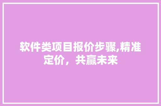 软件类项目报价步骤,精准定价，共赢未来