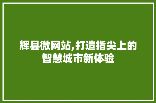 辉县微网站,打造指尖上的智慧城市新体验