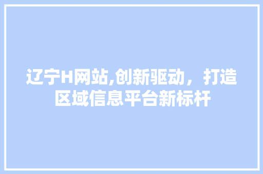 辽宁H网站,创新驱动，打造区域信息平台新标杆