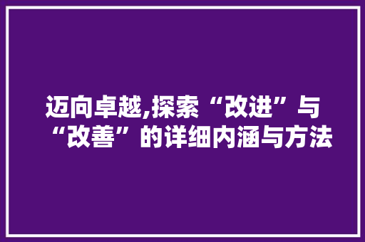 迈向卓越,探索“改进”与“改善”的详细内涵与方法路径