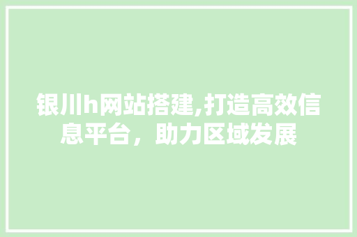 银川h网站搭建,打造高效信息平台，助力区域发展 JavaScript