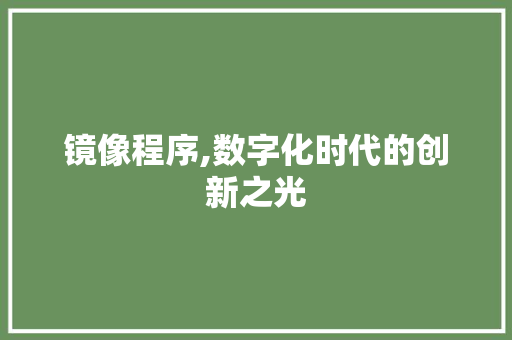 镜像程序,数字化时代的创新之光