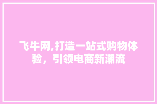 飞牛网,打造一站式购物体验，引领电商新潮流 NoSQL