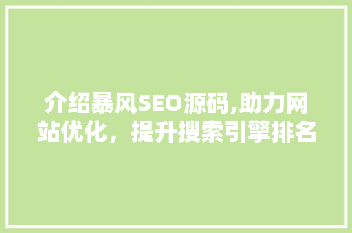 介绍暴风SEO源码,助力网站优化，提升搜索引擎排名 Node.js