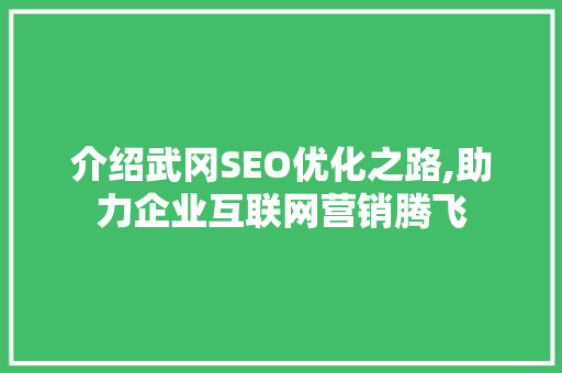 介绍武冈SEO优化之路,助力企业互联网营销腾飞