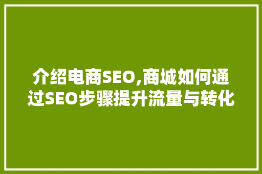 介绍电商SEO,商城如何通过SEO步骤提升流量与转化率