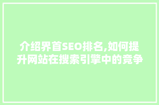 介绍界首SEO排名,如何提升网站在搜索引擎中的竞争力