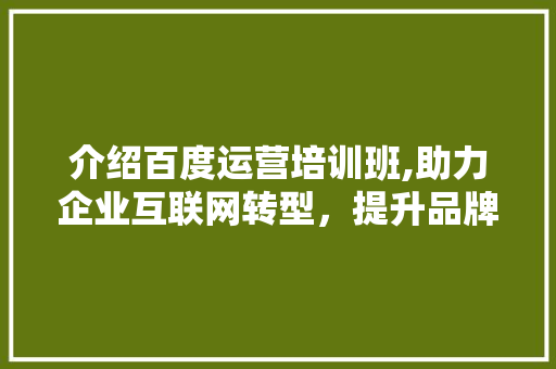 介绍百度运营培训班,助力企业互联网转型，提升品牌影响力