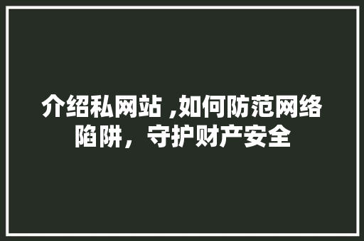 介绍私网站 ,如何防范网络陷阱，守护财产安全