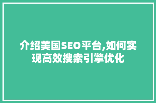 介绍美国SEO平台,如何实现高效搜索引擎优化