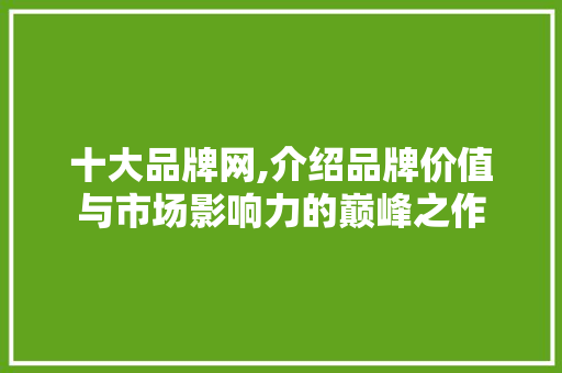 十大品牌网,介绍品牌价值与市场影响力的巅峰之作