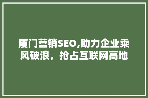 厦门营销SEO,助力企业乘风破浪，抢占互联网高地