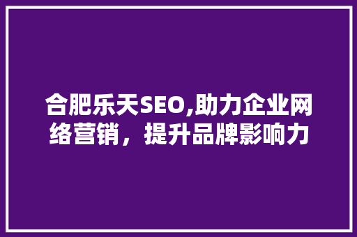 合肥乐天SEO,助力企业网络营销，提升品牌影响力