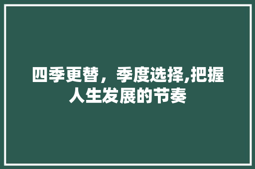 四季更替，季度选择,把握人生发展的节奏