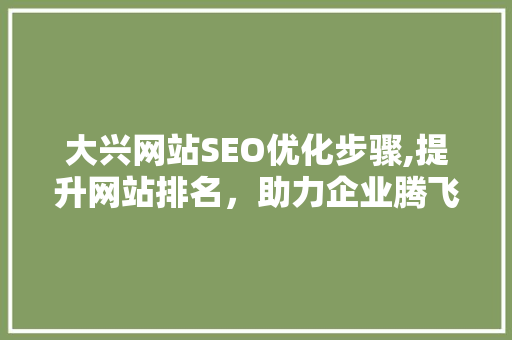 大兴网站SEO优化步骤,提升网站排名，助力企业腾飞