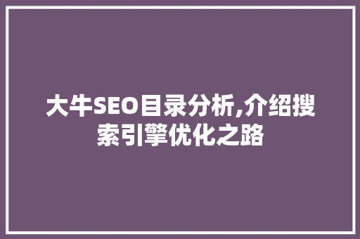 大牛SEO目录分析,介绍搜索引擎优化之路 HTML