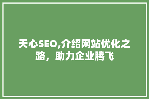 天心SEO,介绍网站优化之路，助力企业腾飞 PHP