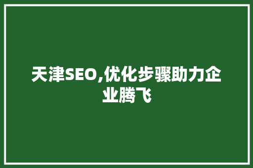 天津SEO,优化步骤助力企业腾飞