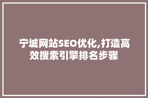 宁城网站SEO优化,打造高效搜索引擎排名步骤