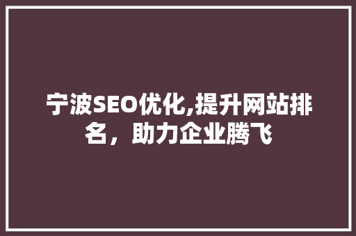 宁波SEO优化,提升网站排名，助力企业腾飞