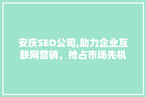 安庆SEO公司,助力企业互联网营销，抢占市场先机