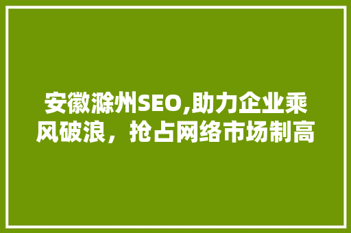 安徽滁州SEO,助力企业乘风破浪，抢占网络市场制高点