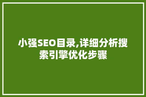 小强SEO目录,详细分析搜索引擎优化步骤 Webpack