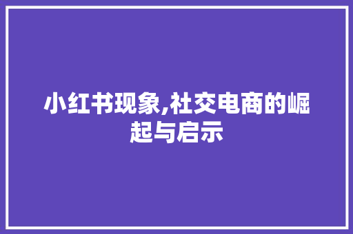 小红书现象,社交电商的崛起与启示 Java