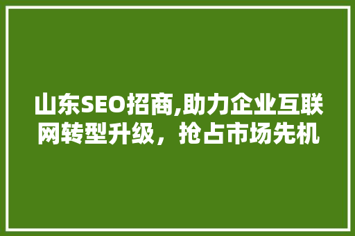 山东SEO招商,助力企业互联网转型升级，抢占市场先机