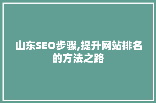 山东SEO步骤,提升网站排名的方法之路